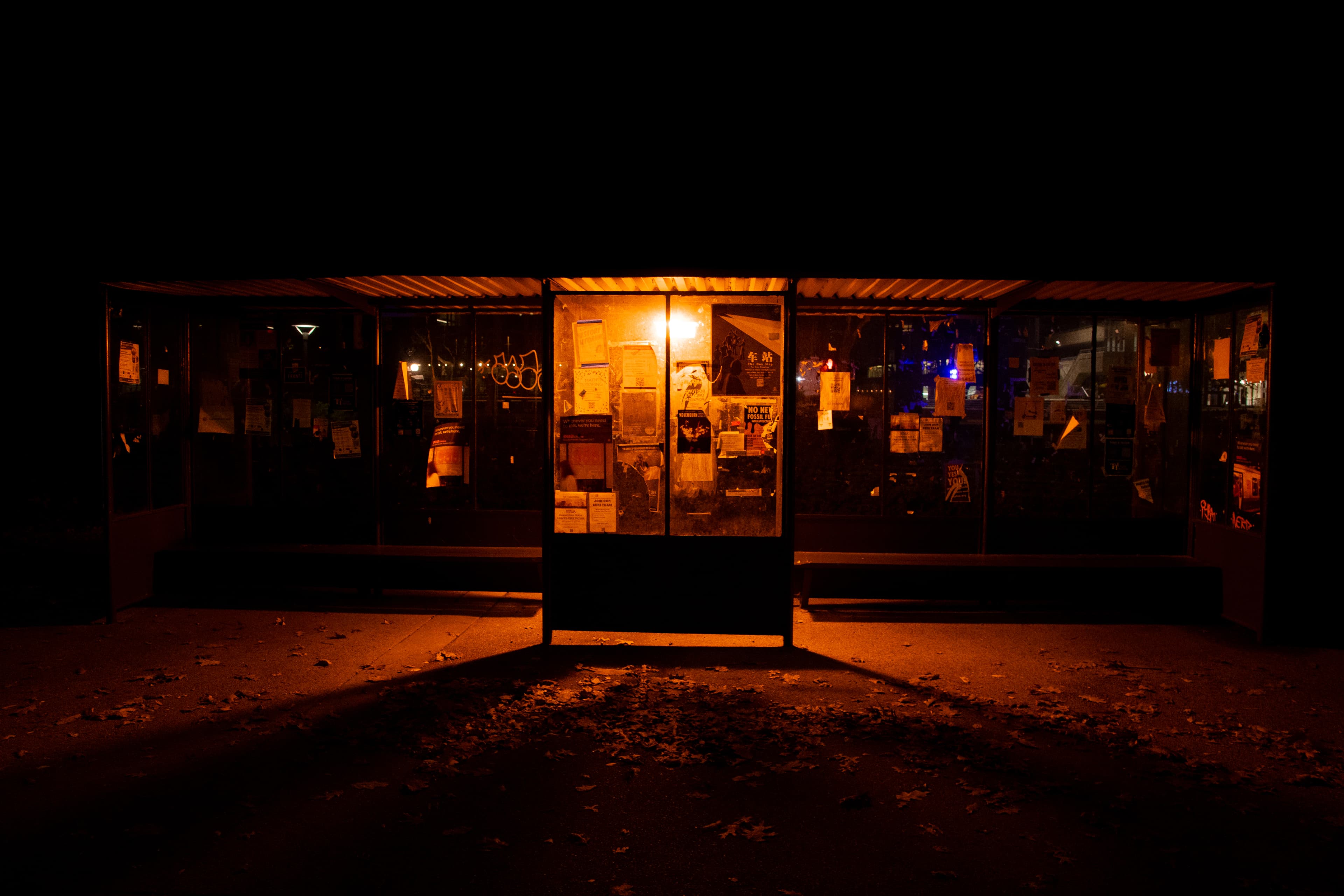 Example Image 17